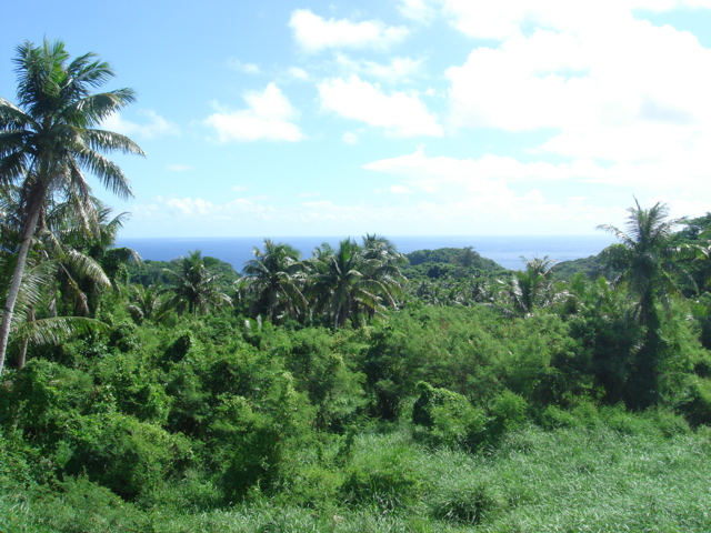 Good-viewa Good-viewa