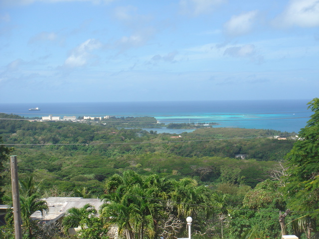 View-1 View-1