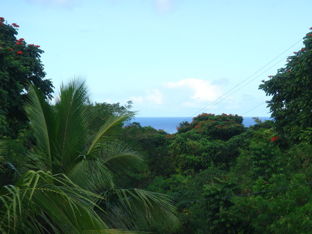 rai-View rai-View