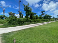 CHALAN PIAO PROPERTY